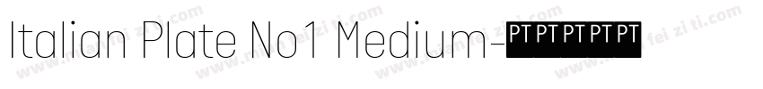 Italian Plate No1 Medium字体转换